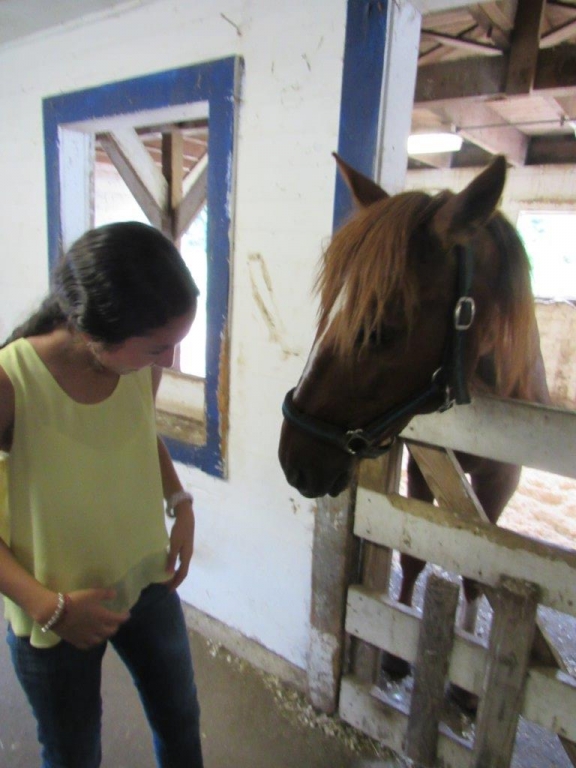 Village Camps International Summer Camp Boston, USA 2015-08-01 https://www.villagecamps.com/journals_admin/images/1426-3512-IMG_1443.jpg Village Camps International Summer Camp Boston, USA 2015-08-01 https://www.villagecamps.com/journals_admin/images/1426-3512-IMG_1443.jpg