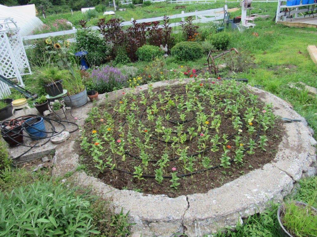 Village Camps International Summer Camp Boston, USA 2015-08-01 https://www.villagecamps.com/journals_admin/images/1426-3514-IMG_1435.jpg