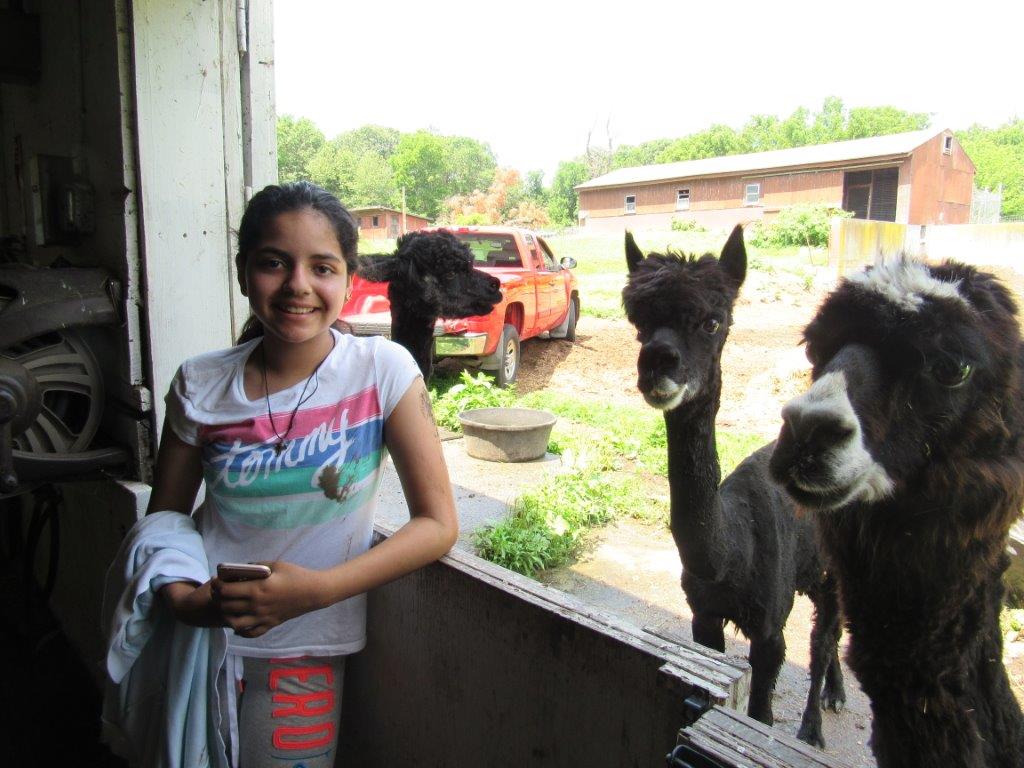 Village Camps International Summer Camp Boston, USA 2015-08-01 https://www.villagecamps.com/journals_admin/images/1426-3515-IMG_1455.jpg