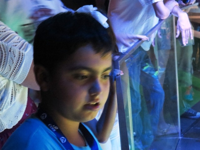 Village Camps International Summer Camp Boston, USA 2015-08-01 https://www.villagecamps.com/journals_admin/images/854-10-IMG_0358.jpg Village Camps International Summer Camp Boston, USA 2015-08-01 https://www.villagecamps.com/journals_admin/images/854-10-IMG_0358.jpg