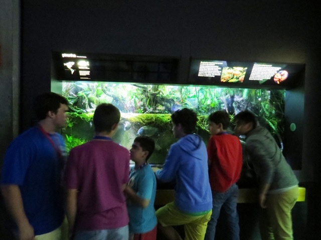 Village Camps International Summer Camp Boston, USA 2015-08-01 https://www.villagecamps.com/journals_admin/images/854-10-IMG_0376.jpg