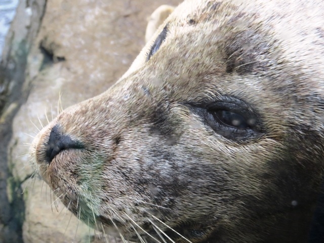 Village Camps International Summer Camp Boston, USA 2015-08-01 https://www.villagecamps.com/journals_admin/images/854-10-IMG_0407.jpg