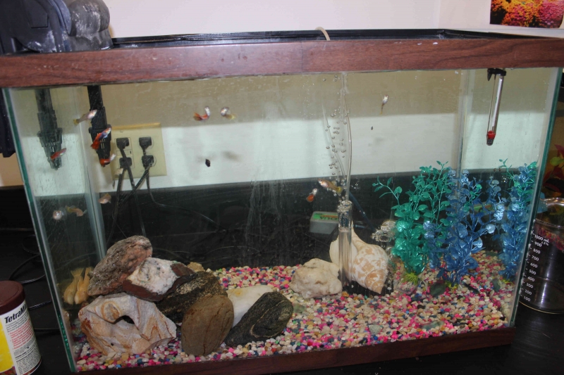 Village Camps International Summer Camp Boston, USA 2015-08-01 https://www.villagecamps.com/journals_admin/images/870-27-@6e.jpg