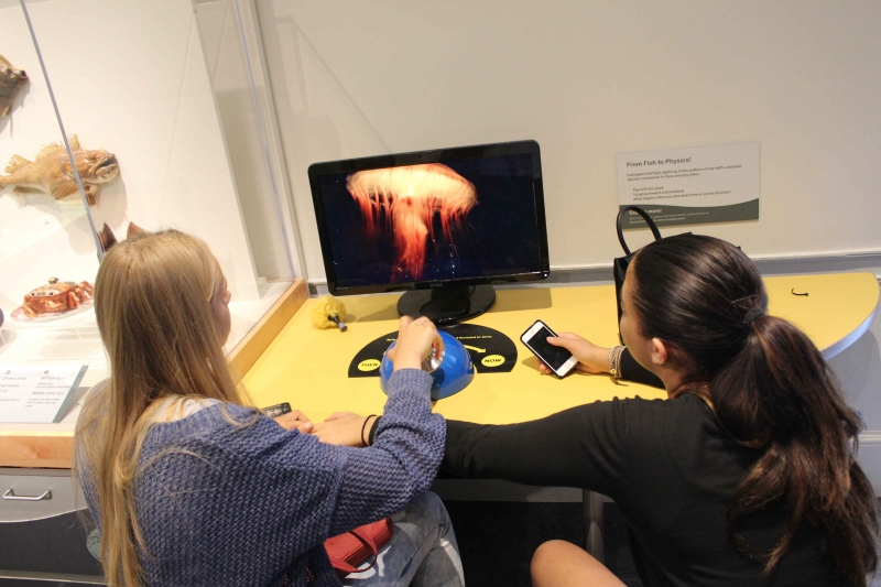 Village Camps International Summer Camp Boston, USA 2015-08-01 https://www.villagecamps.com/journals_admin/images/873-10-@8e.jpg