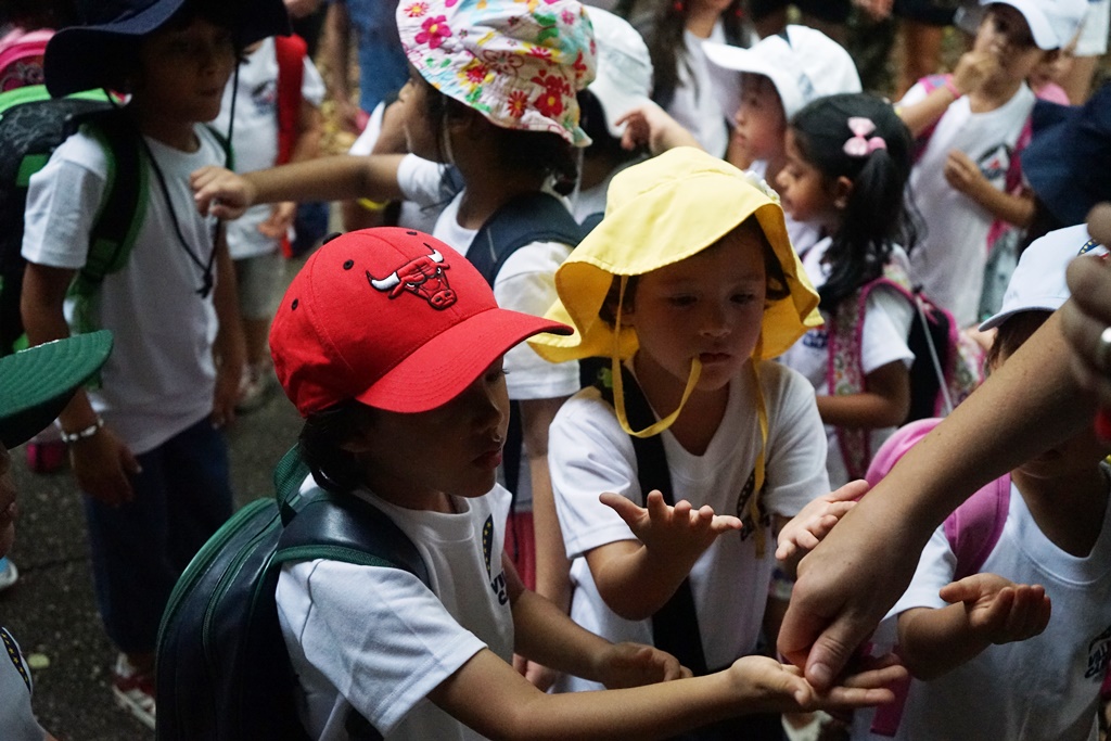 Village Camps International Summer Camp VDC Singapore 2017-07-28 https://www.villagecamps.com/journals_admin/images/1224-0431-DSC00425.jpg