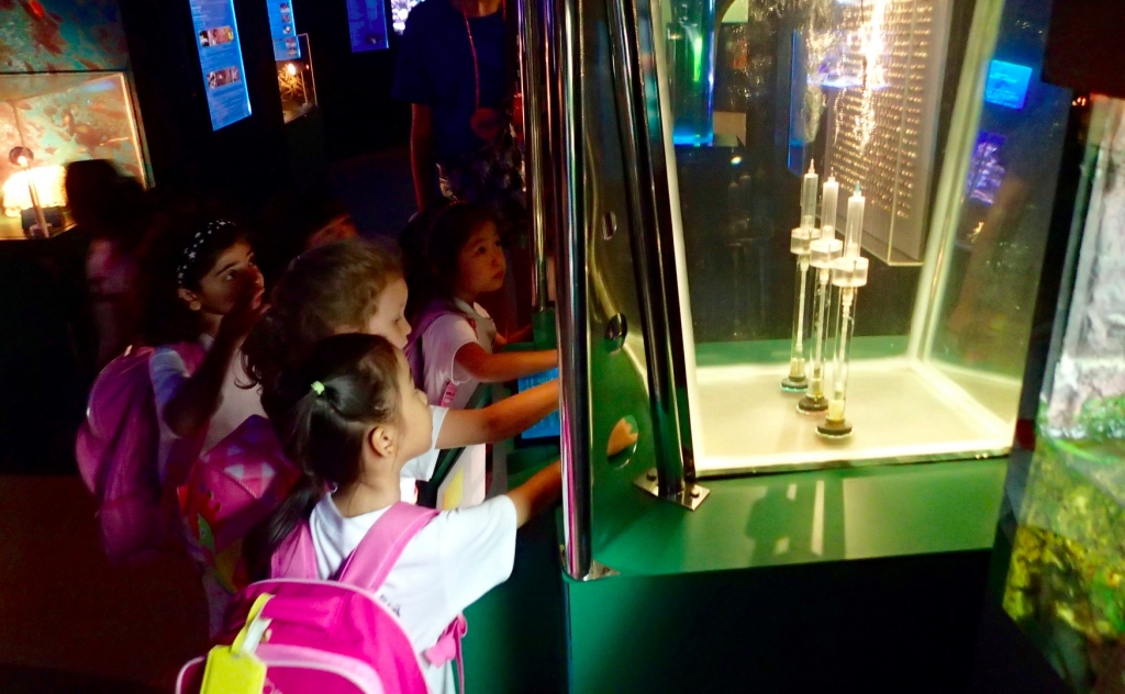 Village Camps International Summer Camp VDC Singapore 2017-07-28 https://www.villagecamps.com/journals_admin/images/1228-8045-P7080498.jpg