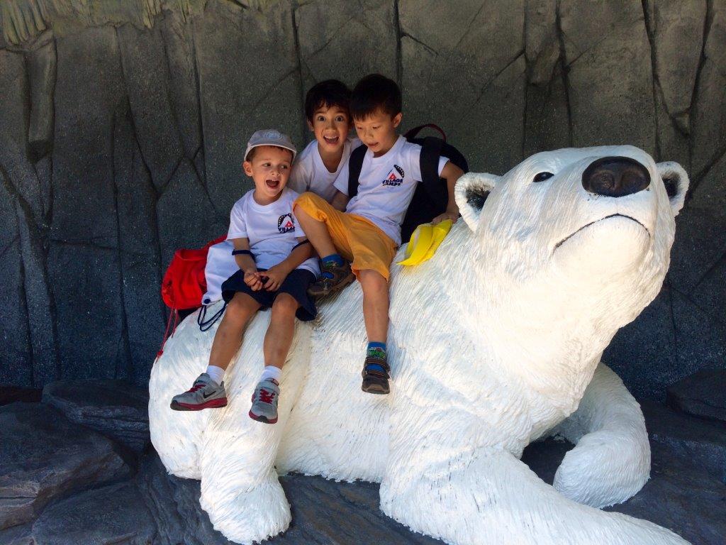 Village Camps International Summer Camp VDC Singapore 2017-07-28 https://www.villagecamps.com/journals_admin/images/1237-7538-IMG_3539.jpg