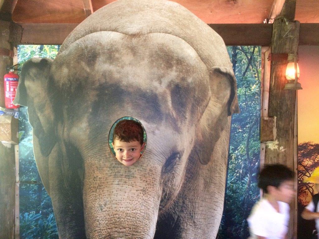 Village Camps International Summer Camp VDC Singapore 2017-07-28 https://www.villagecamps.com/journals_admin/images/1237-7541-IMG_3550.jpg