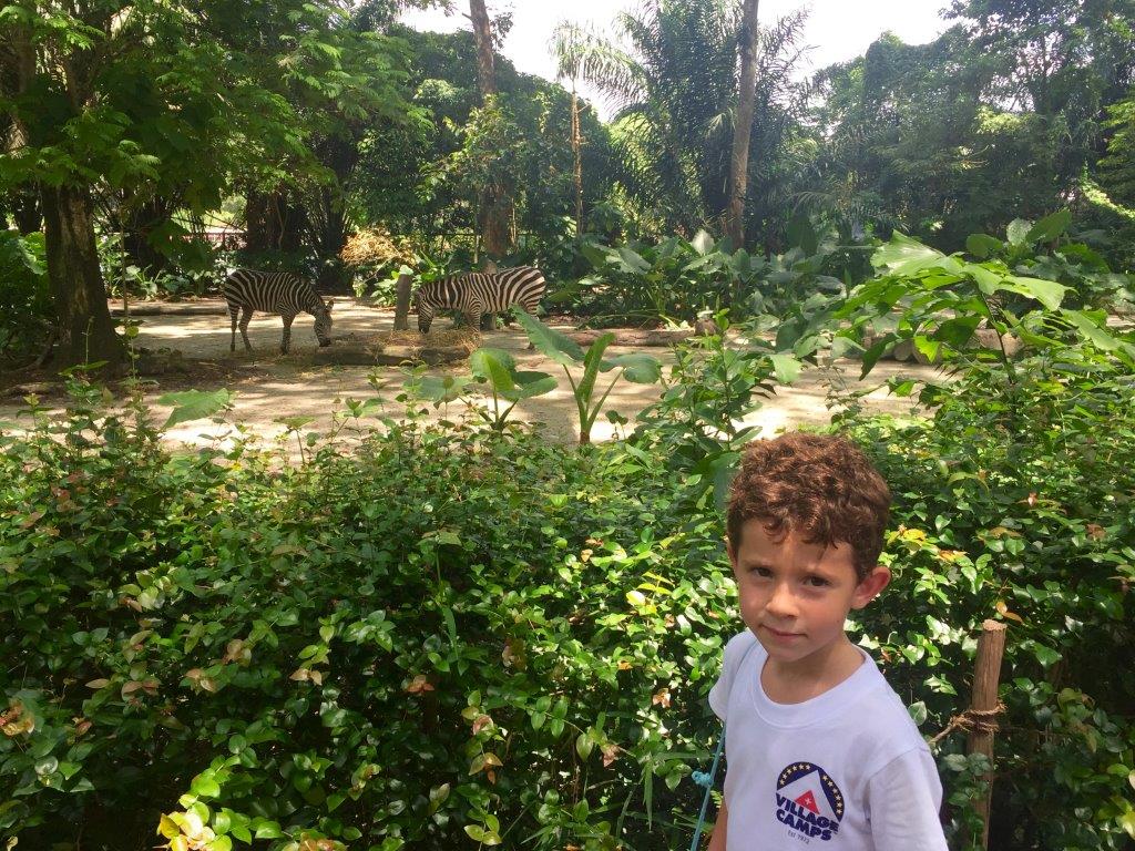 Village Camps International Summer Camp VDC Singapore 2017-07-28 https://www.villagecamps.com/journals_admin/images/1237-7545-IMG_6233.jpg Village Camps International Summer Camp VDC Singapore 2017-07-28 https://www.villagecamps.com/journals_admin/images/1237-7545-IMG_6233.jpg