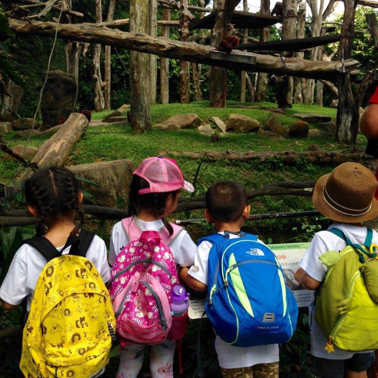 Village Camps International Summer Camp VDC Singapore 2017-07-28 https://www.villagecamps.com/journals_admin/images/1237-7548-IMG_8809.jpg