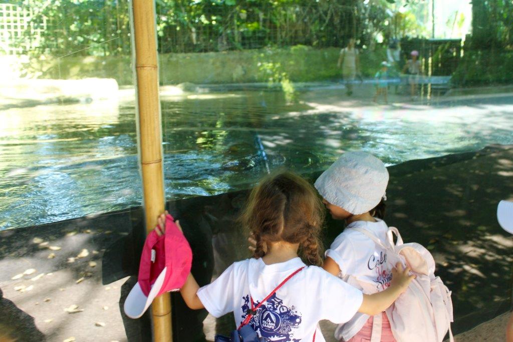 Village Camps International Summer Camp VDC Singapore 2017-07-28 https://www.villagecamps.com/journals_admin/images/1237-7550-IMG_9748.jpg