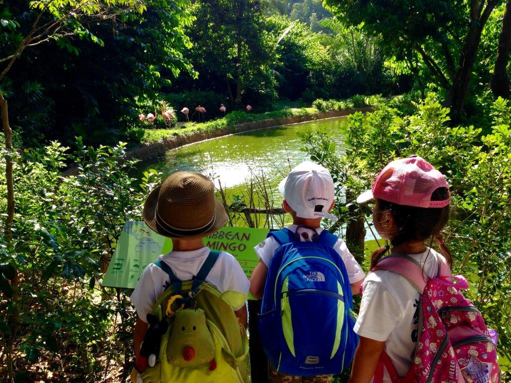 Village Camps International Summer Camp VDC Singapore 2017-07-28 https://www.villagecamps.com/journals_admin/images/1237-7551-IMG_8804.jpg