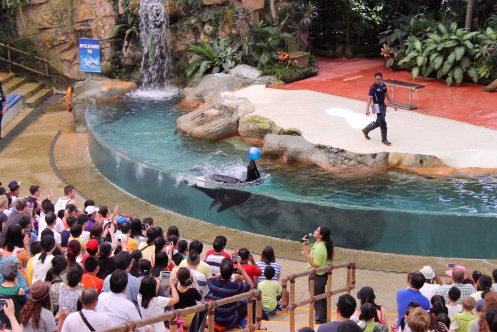 Village Camps International Summer Camp VDC Singapore 2017-07-28 https://www.villagecamps.com/journals_admin/images/1237-7553-IMG_9754.jpg