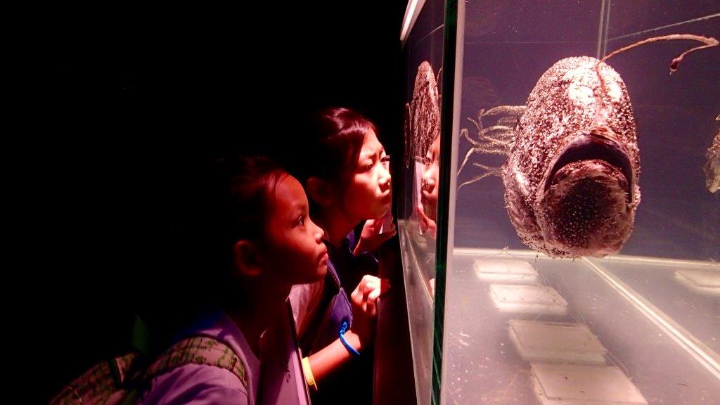 Village Camps International Summer Camp VDC Singapore 2017-07-28 https://www.villagecamps.com/journals_admin/images/1239-9569-P7230780.jpg