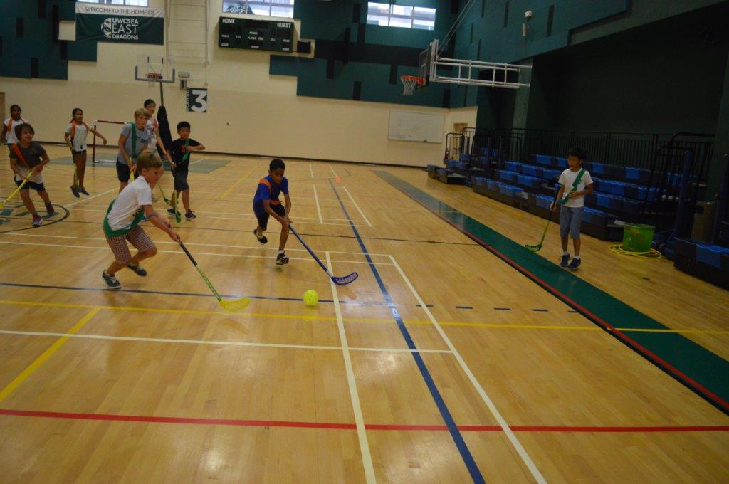 Village Camps International Summer Camp VDC Singapore 2017-07-28 https://www.villagecamps.com/journals_admin/images/1741-4697-DSC_0555.jpg