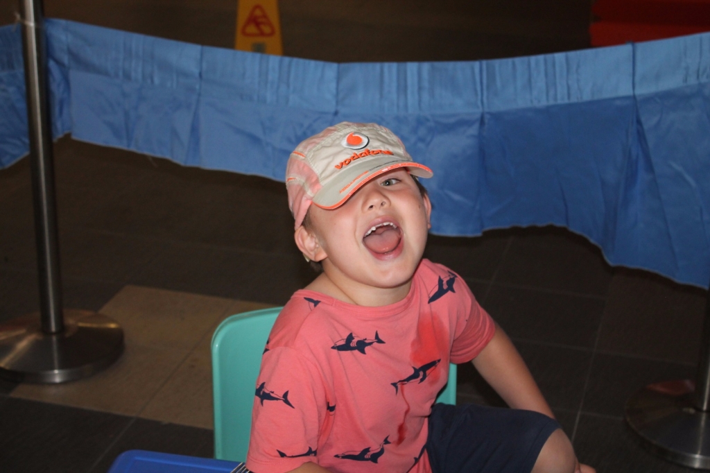 Village Camps International Summer Camp VDC Singapore 2017-07-28 https://www.villagecamps.com/journals_admin/images/1745-3359-IMG_8936.jpg