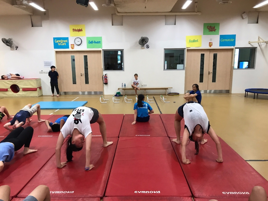 Village Camps International Summer Camp VDC Singapore 2017-07-28 https://www.villagecamps.com/journals_admin/images/1746-4378-IMG_1416.jpg