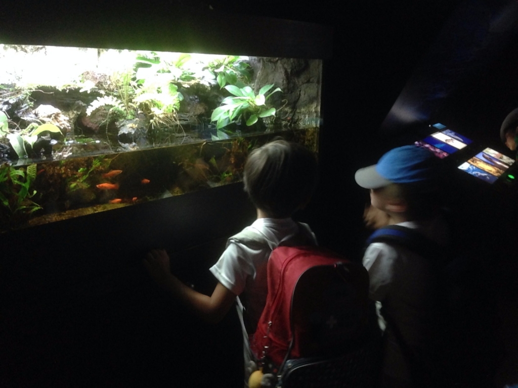 Village Camps International Summer Camp VDC Singapore 2017-07-28 https://www.villagecamps.com/journals_admin/images/1747-4789-IMG_6575.jpg