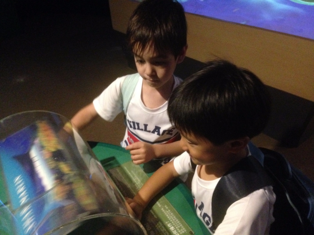 Village Camps International Summer Camp VDC Singapore 2017-07-28 https://www.villagecamps.com/journals_admin/images/1747-4789-IMG_6577.jpg