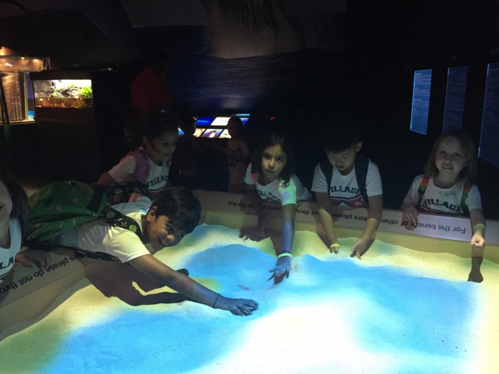 Village Camps International Summer Camp VDC Singapore 2017-07-28 https://www.villagecamps.com/journals_admin/images/1747-7428-IMG_6485.jpg