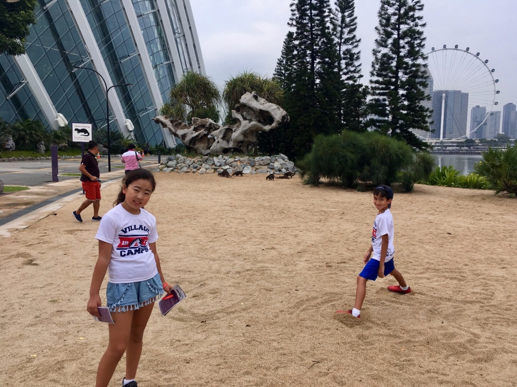 Village Camps International Summer Camp VDC Singapore 2017-07-28 https://www.villagecamps.com/journals_admin/images/1752-2829-IMG_3069.jpg
