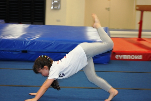 Village Camps International Summer Camp VDC Singapore 2017-07-28 https://www.villagecamps.com/journals_admin/images/843-34-IMG_4753.jpg