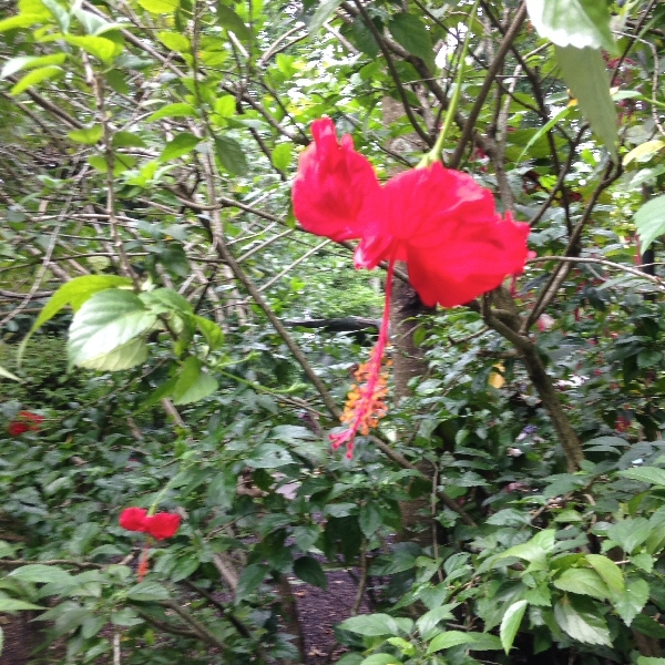 Village Camps International Summer Camp VDC Singapore 2017-07-28 https://www.villagecamps.com/journals_admin/images/979-10-IMG_3866.jpg