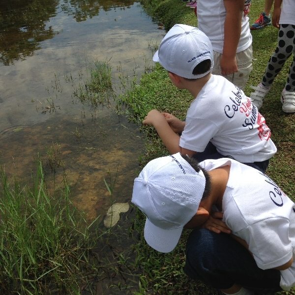 Village Camps International Summer Camp VDC Singapore 2017-07-28 https://www.villagecamps.com/journals_admin/images/979-10-IMG_3884.jpg Village Camps International Summer Camp VDC Singapore 2017-07-28 https://www.villagecamps.com/journals_admin/images/979-10-IMG_3884.jpg