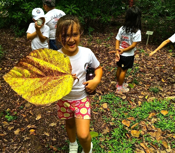 Village Camps International Summer Camp VDC Singapore 2017-07-28 https://www.villagecamps.com/journals_admin/images/979-10-IMG_8819.jpg
