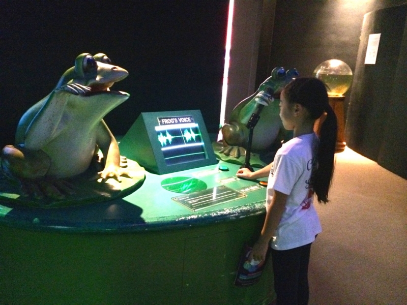 Village Camps International Summer Camp VDC Singapore 2017-07-28 https://www.villagecamps.com/journals_admin/images/985-10-IMG_9771.jpg