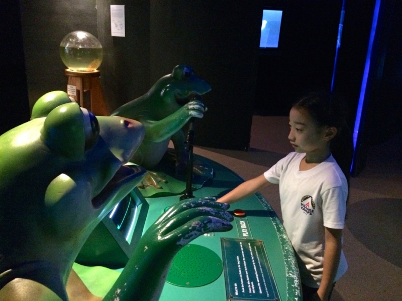 Village Camps International Summer Camp VDC Singapore 2017-07-28 https://www.villagecamps.com/journals_admin/images/985-10-IMG_9772.jpg