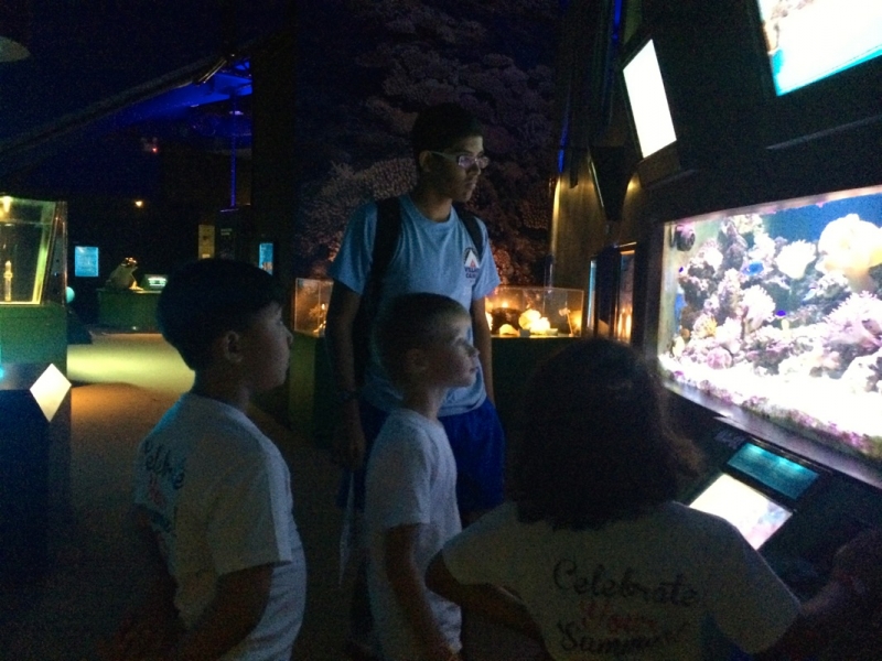 Village Camps International Summer Camp VDC Singapore 2017-07-28 https://www.villagecamps.com/journals_admin/images/985-34-IMG_9767.jpg