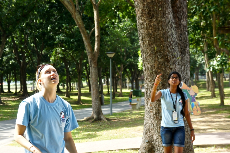 Village Camps International Summer Camp VDC Singapore 2017-07-28 https://www.villagecamps.com/journals_admin/images/994-40-DSC03288.jpg