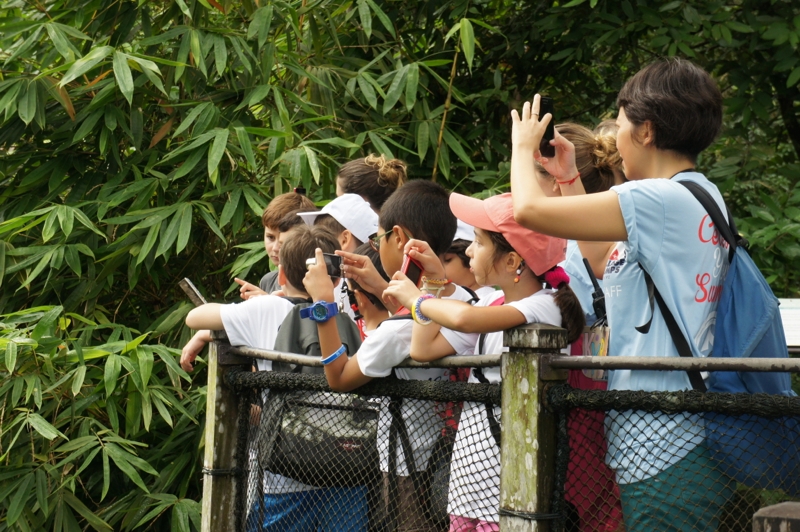 Village Camps International Summer Camp VDC Singapore 2017-07-28 https://www.villagecamps.com/journals_admin/images/996-10-DSC03718.jpg Village Camps International Summer Camp VDC Singapore 2017-07-28 https://www.villagecamps.com/journals_admin/images/996-10-DSC03718.jpg
