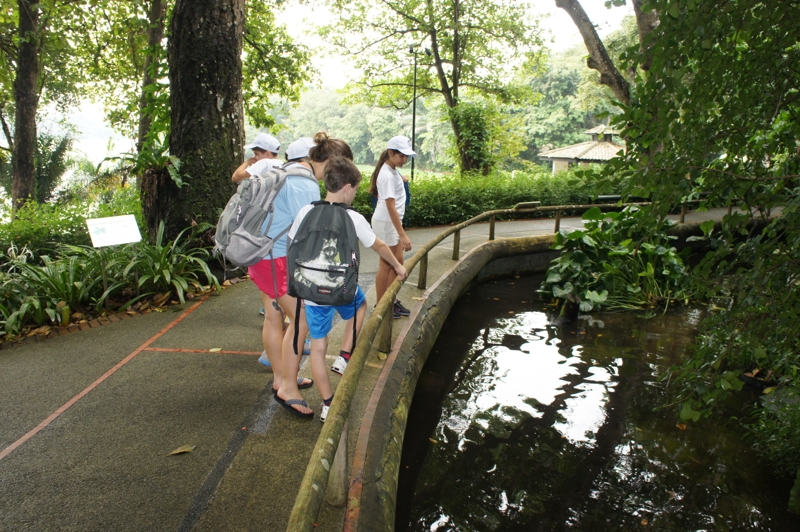 Village Camps International Summer Camp VDC Singapore 2017-07-28 https://www.villagecamps.com/journals_admin/images/996-10-DSC03726.jpg Village Camps International Summer Camp VDC Singapore 2017-07-28 https://www.villagecamps.com/journals_admin/images/996-10-DSC03726.jpg