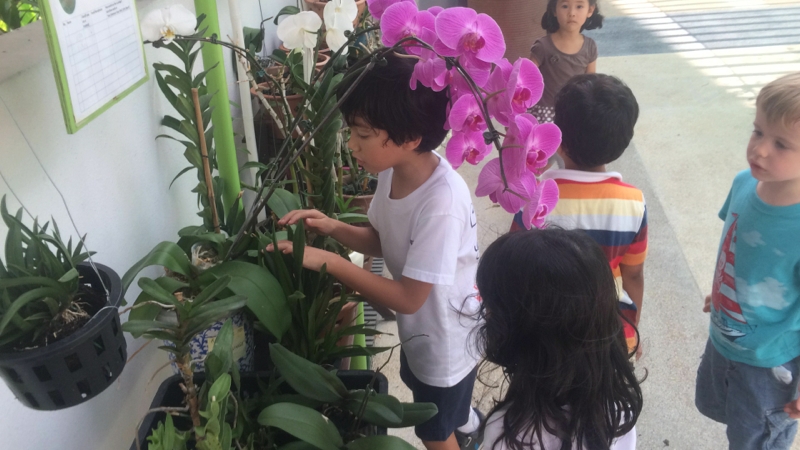 Village Camps International Summer Camp VDC Singapore 2017-07-28 https://www.villagecamps.com/journals_admin/images/996-44-IMG_2111.jpg