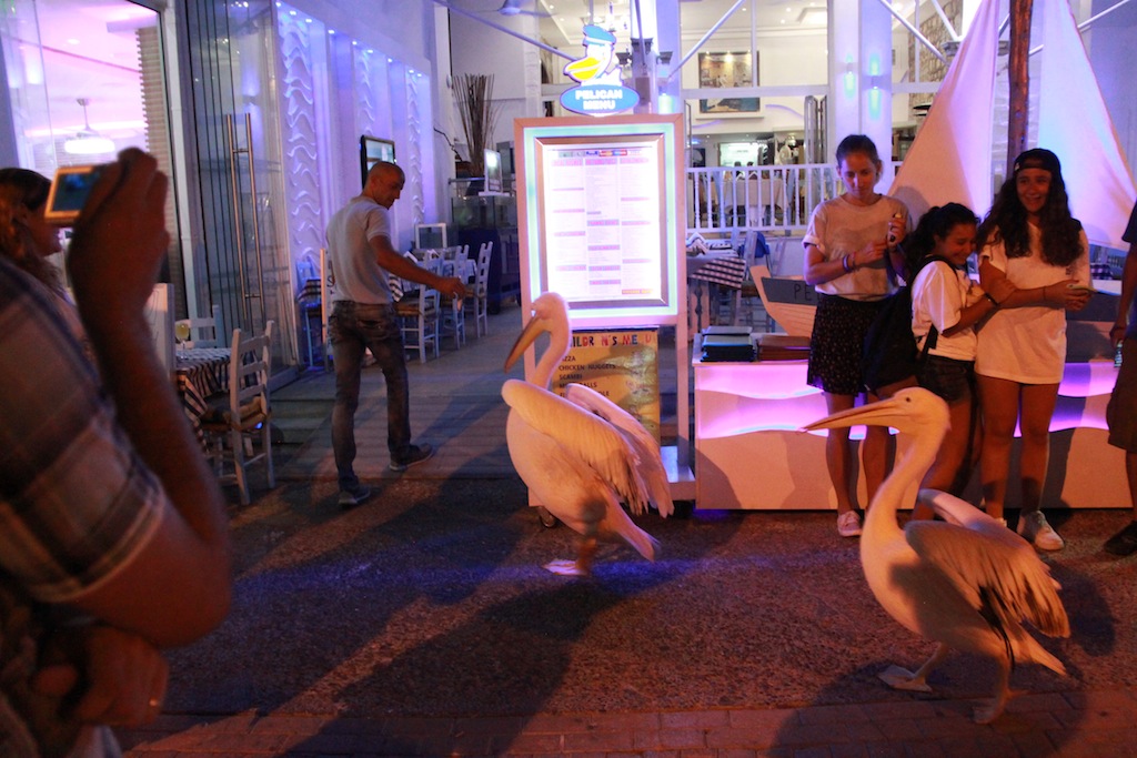 Village Camps International Summer Camp Paphos, Cyprus 2015-07-10 https://www.villagecamps.com/journals_admin/images/1211-9670-118IMG_1940.JPG.jpg