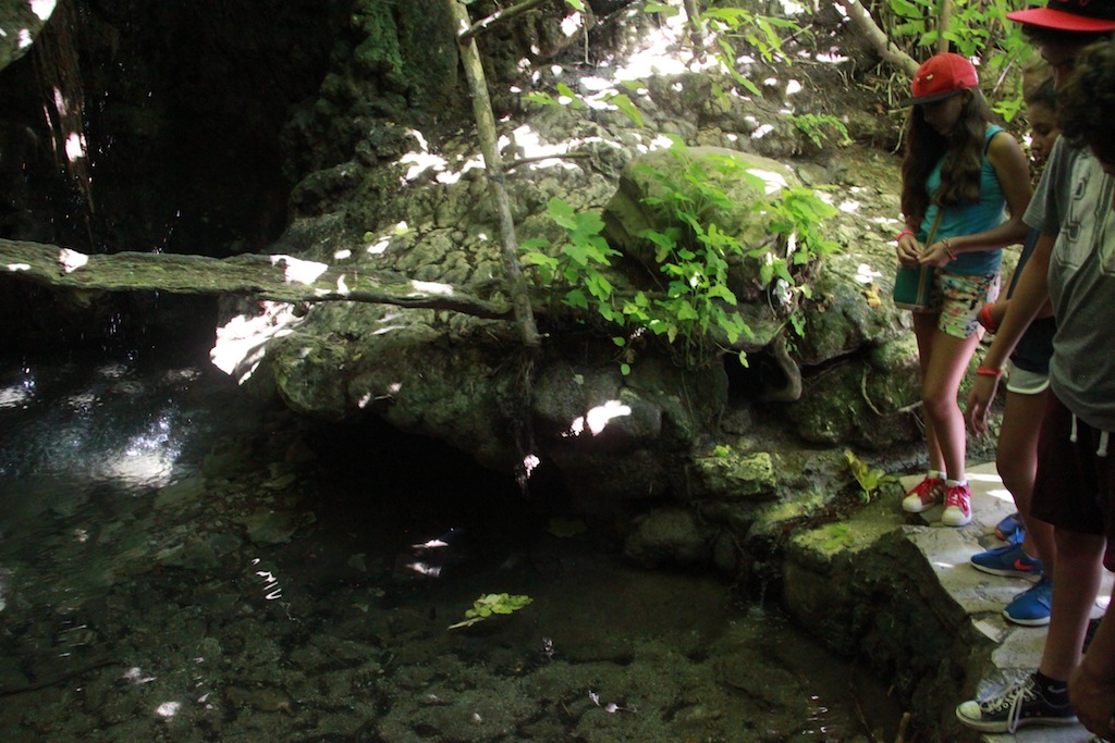 Village Camps International Summer Camp Paphos, Cyprus 2015-07-10 https://www.villagecamps.com/journals_admin/images/1216-1395-47IMG_2891.JPG.jpg