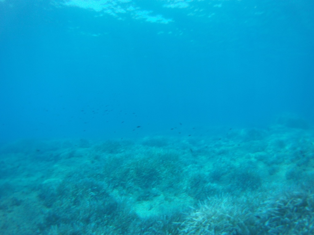 Village Camps International Summer Camp Paphos, Cyprus 2015-07-10 https://www.villagecamps.com/journals_admin/images/1216-1652-11FILE0025.JPG.jpg