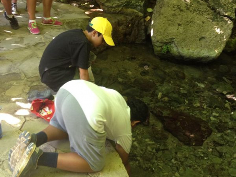 Village Camps International Summer Camp Paphos, Cyprus 2015-07-10 https://www.villagecamps.com/journals_admin/images/901--05.jpg