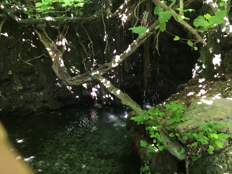 Village Camps International Summer Camp Paphos, Cyprus 2015-07-10 https://www.villagecamps.com/journals_admin/images/901--IMG_2028.jpg