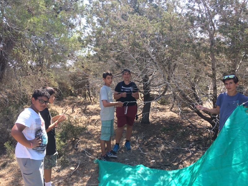 Village Camps International Summer Camp Paphos, Cyprus 2015-07-10 https://www.villagecamps.com/journals_admin/images/901--IMG_2034.jpg